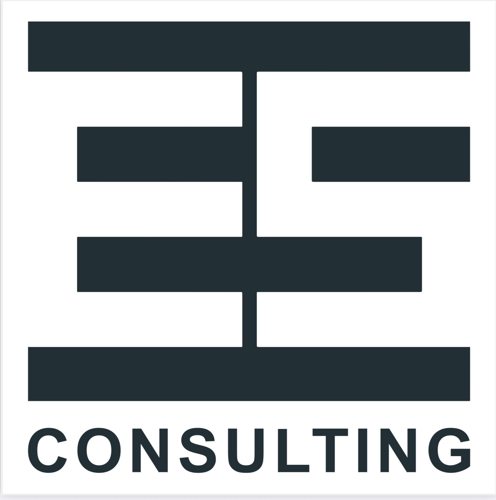 شعار ES consulting 
