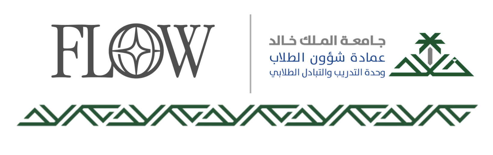 صورة فرصة معسكر إعداد القادة الواعدين (FLOW)