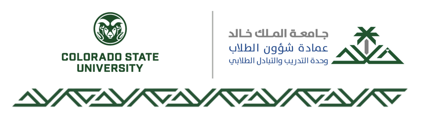صورة فرصة برنامج الأبحاث الصيفي 2025 بجامعة ولاية كولورادو (CSU)